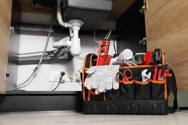 Best Clogged Drain Plumber  in Maple Valley, WA